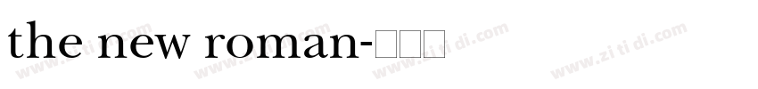 the new roman字体转换